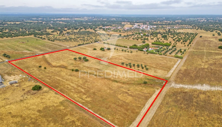 Quinta T1 para Venda em Vale de Santiago Foto 5