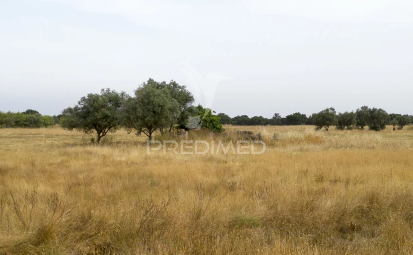 Quinta T1 para Venda em Vale de Santiago Foto 2