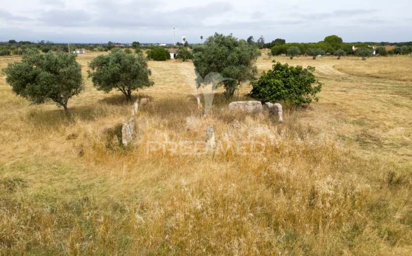 Quinta T1 para Venda em Vale de Santiago Foto 1