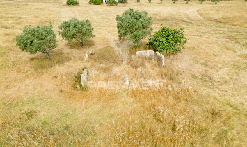 Quinta T1 para Venda em Vale de Santiago Foto 19