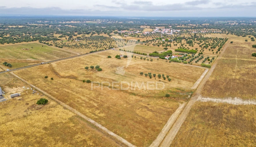Quinta T1 para Venda em Vale de Santiago Foto 4