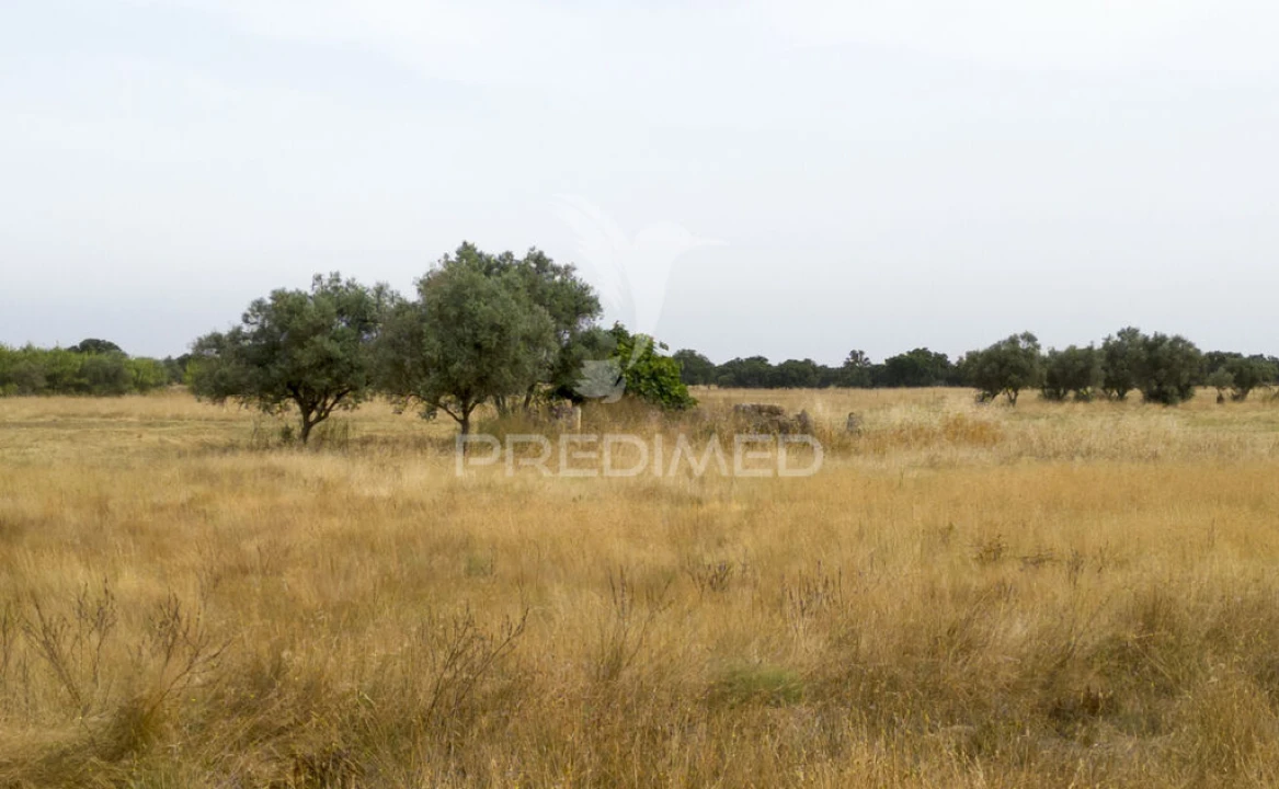 Quinta T1 para Venda em Vale de Santiago Foto 2