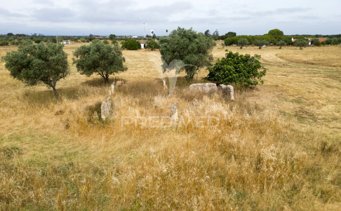 Quinta T1 para Venda em Vale de Santiago Foto 1