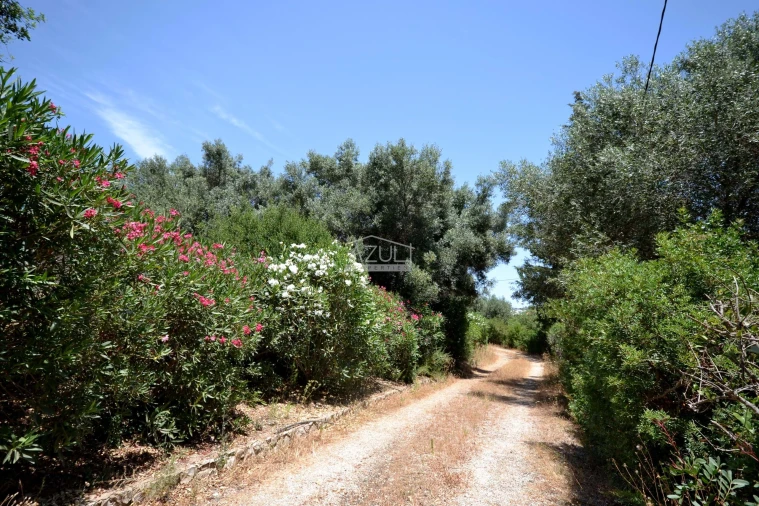 Moradia T4 para Venda em Boliqueime Foto 42