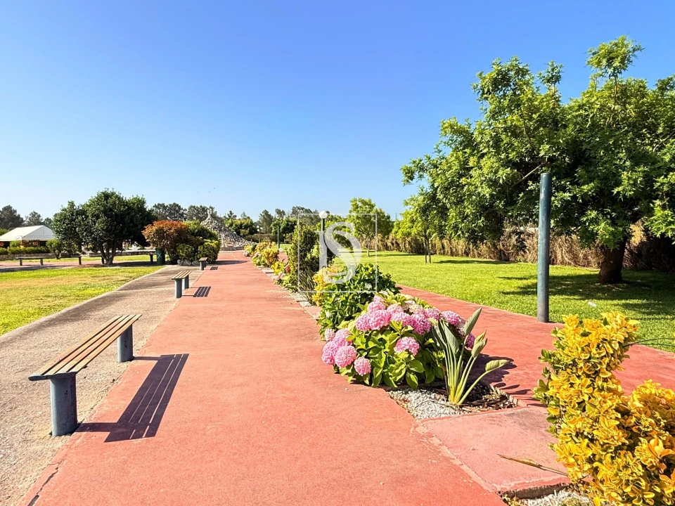 Quinta T31 para Venda em Quinta do Anjo Foto 52