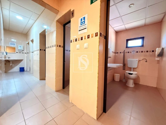 Quinta T31 para Venda em Quinta do Anjo Foto 43