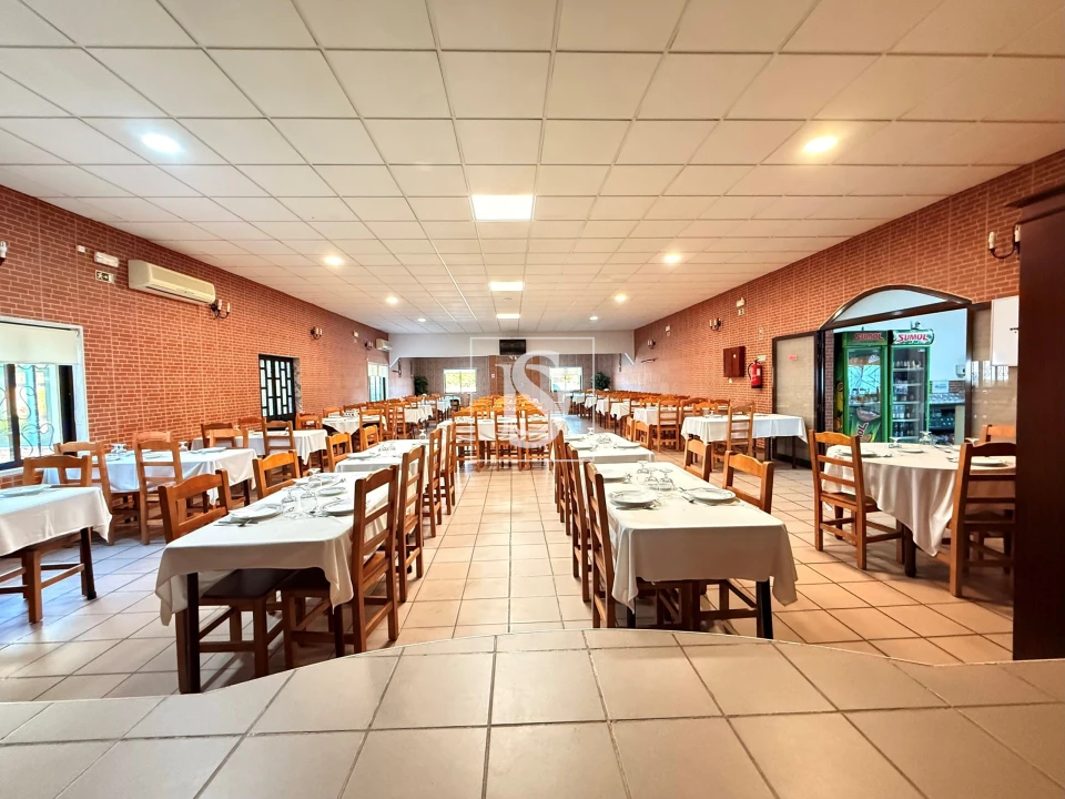 Quinta T31 para Venda em Quinta do Anjo Foto 22