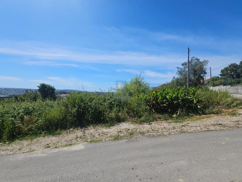Terreno para Venda em Aljubarrota Foto 3