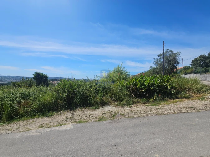 Terreno para Venda em Aljubarrota Foto 3