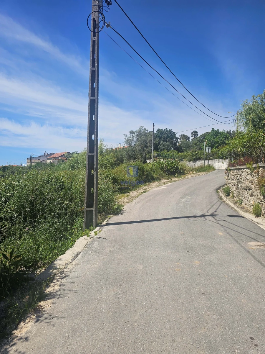 Terreno para Venda em Aljubarrota Foto 8