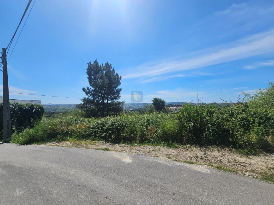 Terreno para Venda em Aljubarrota Foto 4