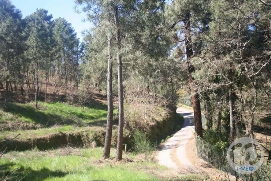 Terreno para Venda em Vale de Anta Foto 56