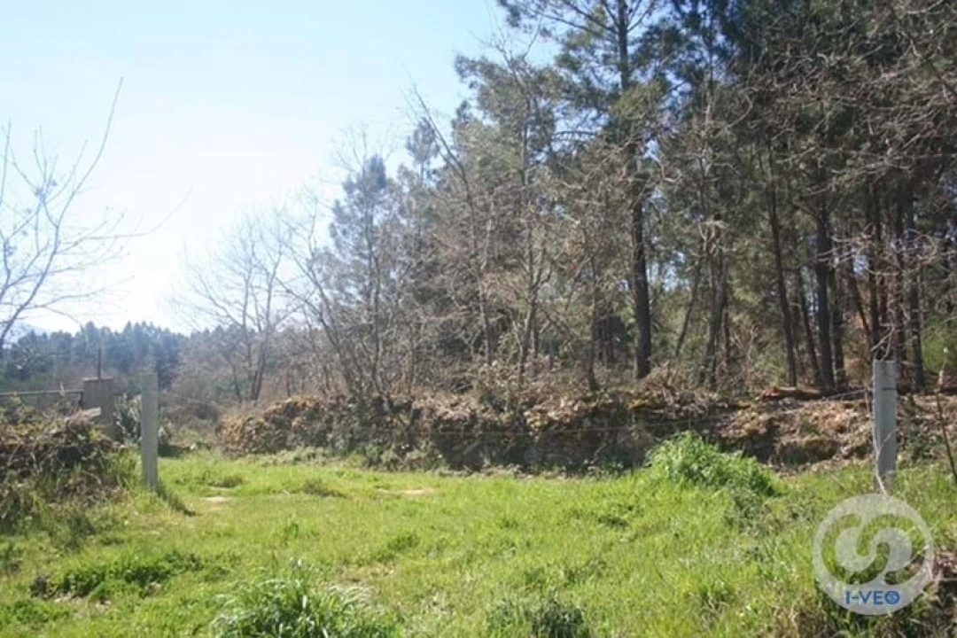 Terreno para Venda em Vale de Anta Foto 35