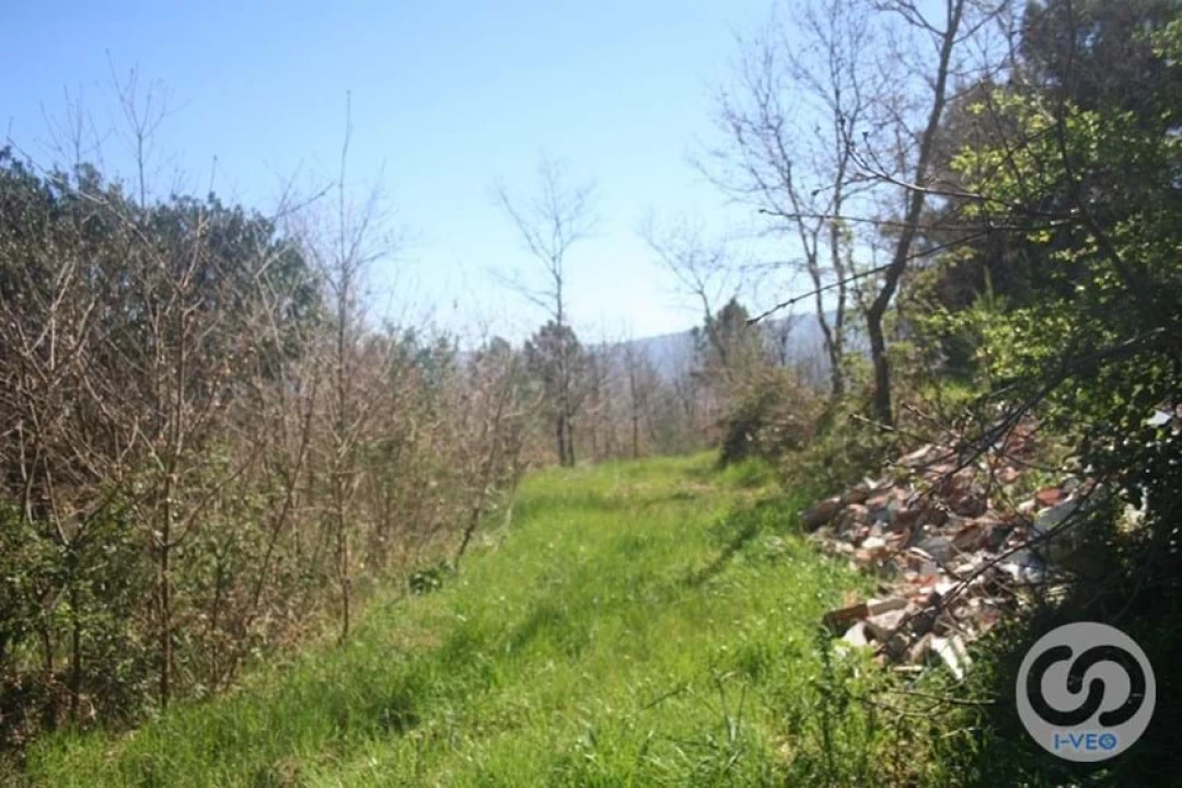 Terreno para Venda em Vale de Anta Foto 38