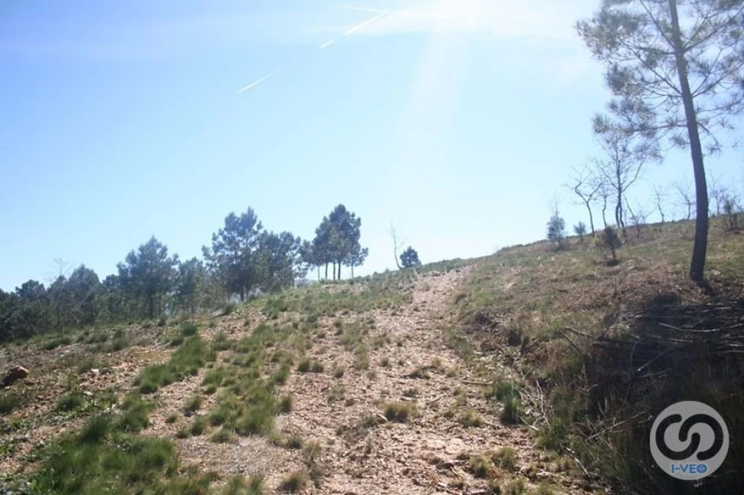 Terreno para Venda em Vale de Anta Foto 54