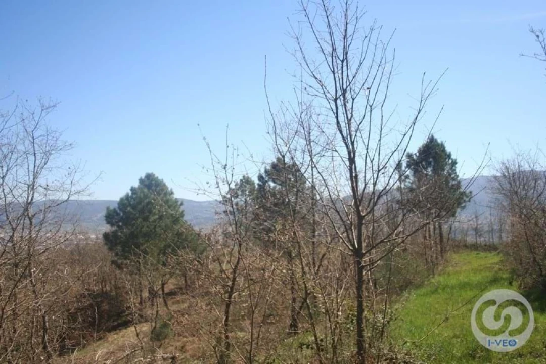 Terreno para Venda em Vale de Anta Foto 36