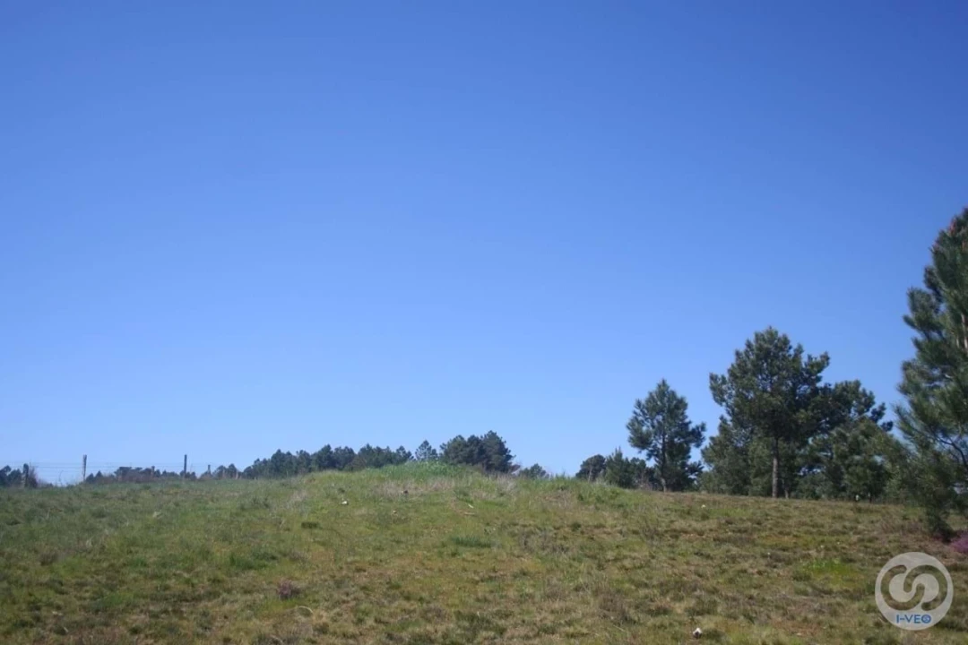 Terreno para Venda em Vale de Anta Foto 20