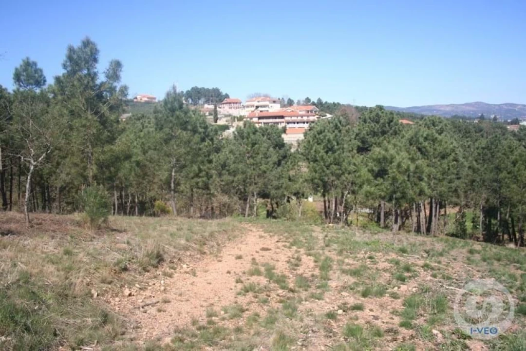 Terreno para Venda em Vale de Anta Foto 47