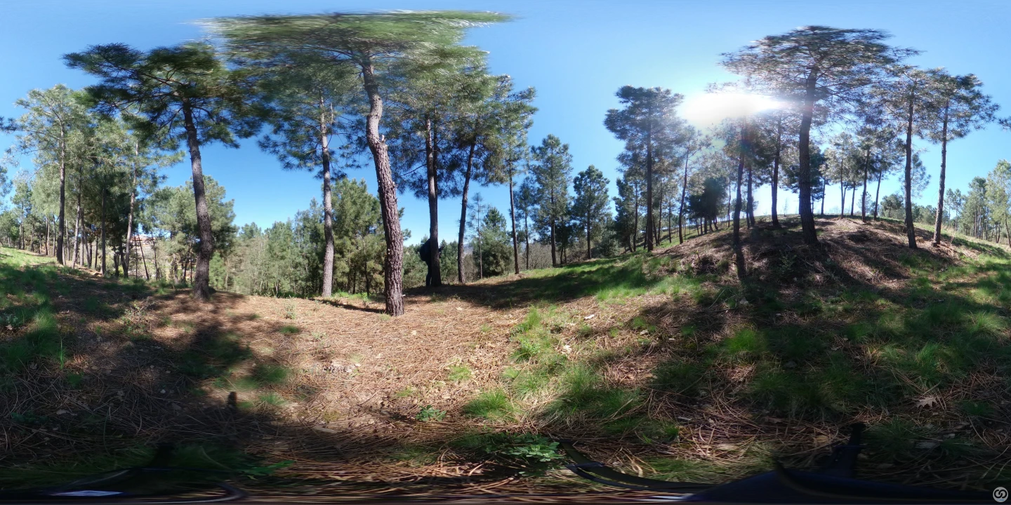 Terreno para Venda em Vale de Anta Foto 86