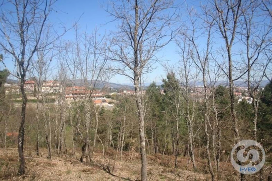 Terreno para Venda em Vale de Anta Foto 37