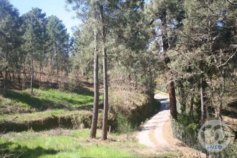 Terreno para Venda em Vale de Anta Foto 56