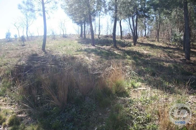 Terreno para Venda em Vale de Anta Foto 51