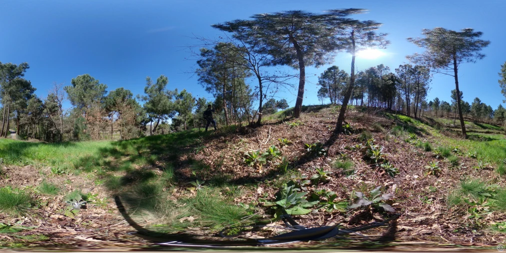 Terreno para Venda em Vale de Anta Foto 88