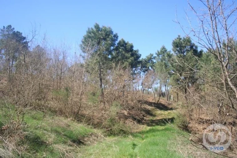 Terreno para Venda em Vale de Anta Foto 42