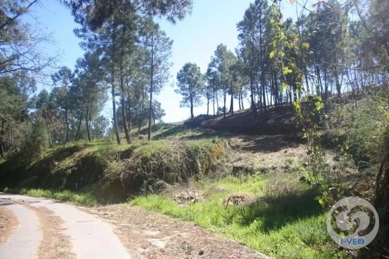 Terreno para Venda em Vale de Anta Foto 50