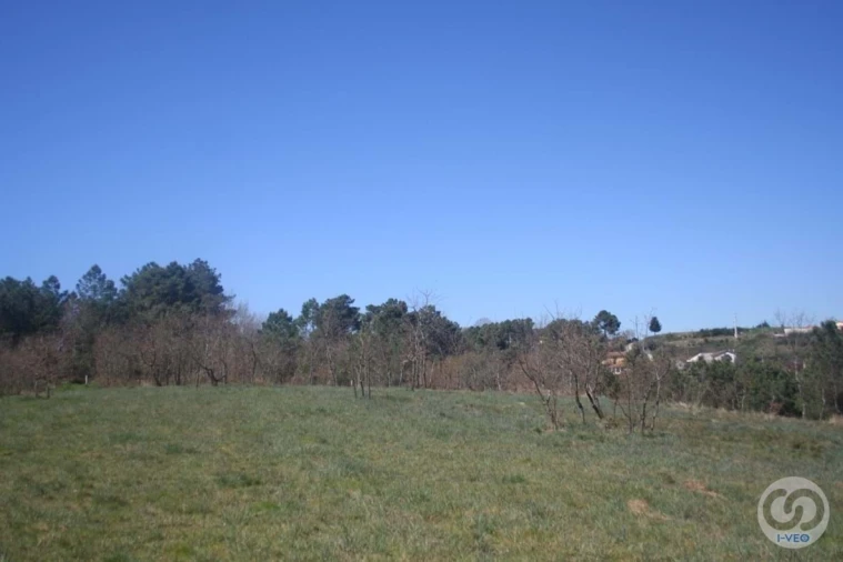 Terreno para Venda em Vale de Anta Foto 25