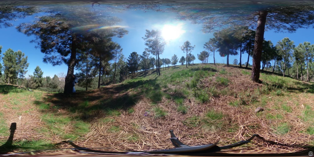 Terreno para Venda em Vale de Anta Foto 85