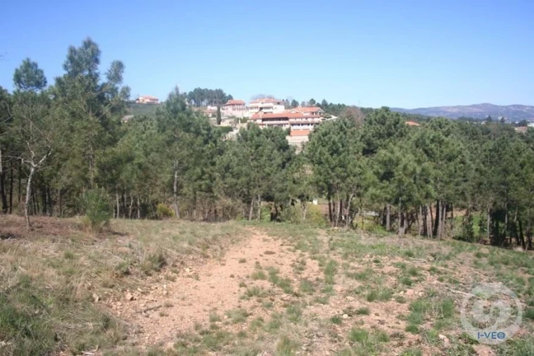 Terreno para Venda em Vale de Anta Foto 47