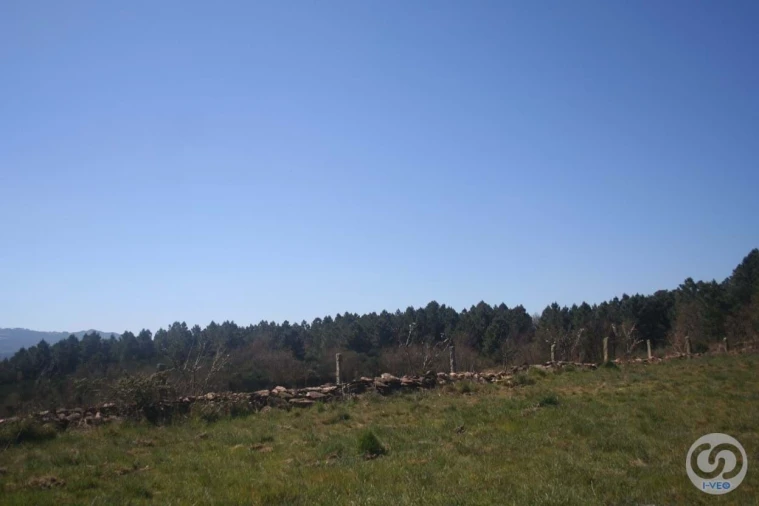 Terreno para Venda em Vale de Anta Foto 24