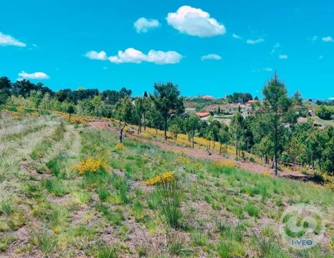 Terreno para Venda em Vale de Anta Foto 3