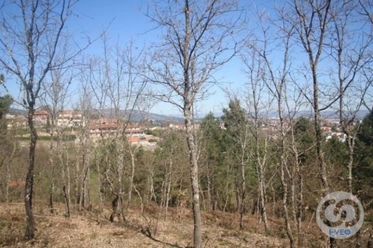 Terreno para Venda em Vale de Anta Foto 37