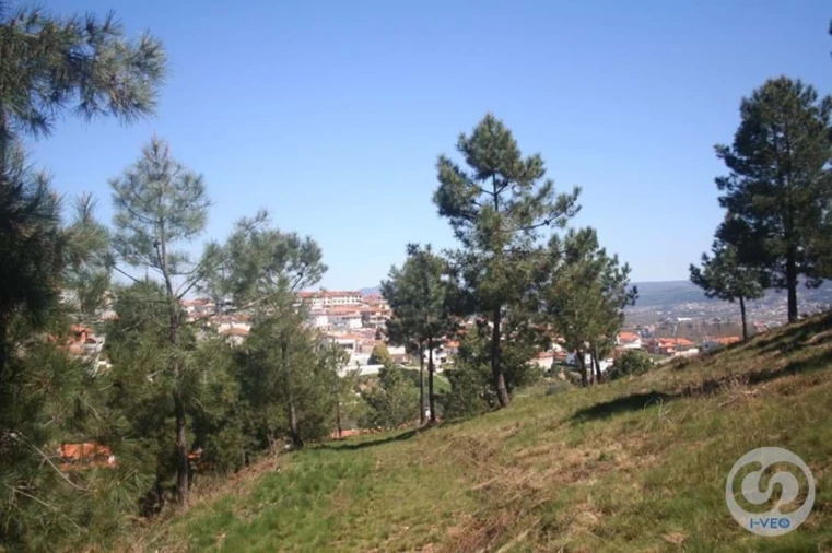 Terreno para Venda em Vale de Anta Foto 10