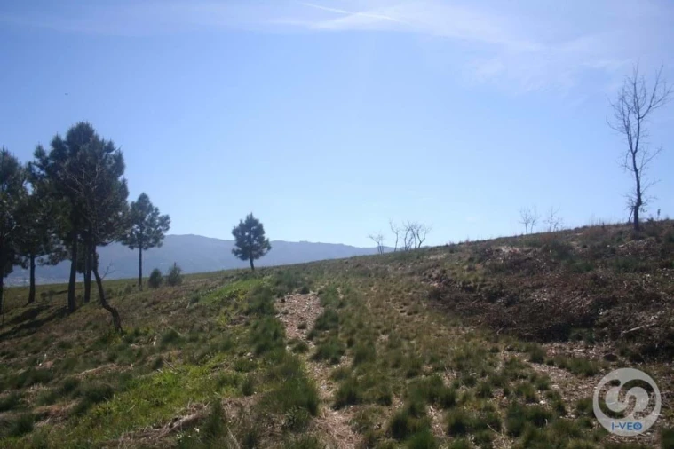 Terreno para Venda em Vale de Anta Foto 45