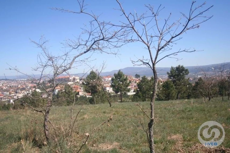 Terreno para Venda em Vale de Anta Foto 32
