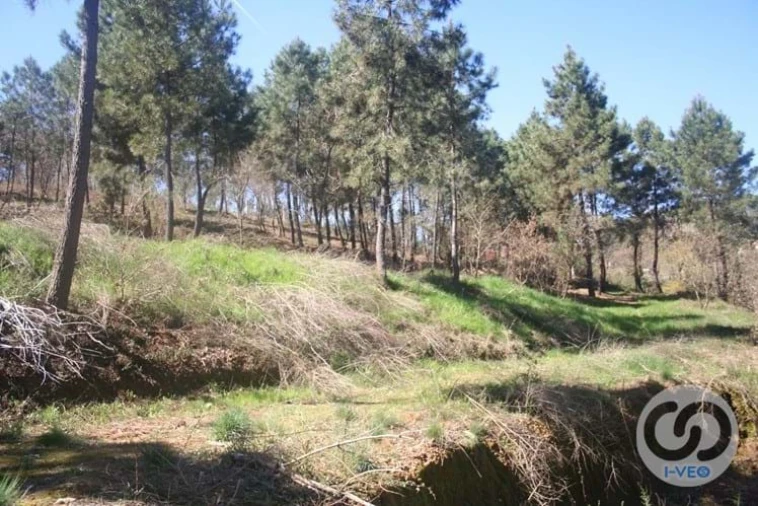 Terreno para Venda em Vale de Anta Foto 55