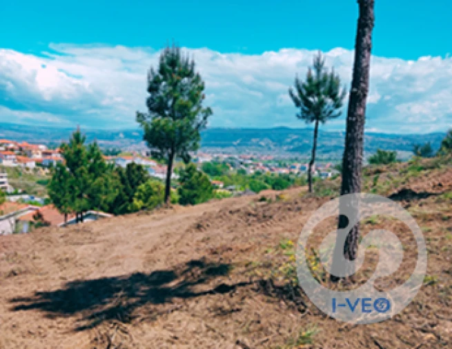 Terreno para Venda em Vale de Anta Foto 5