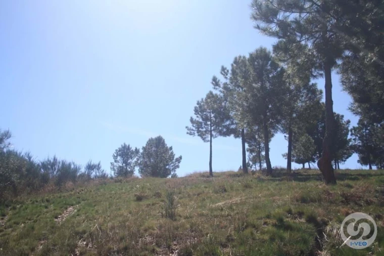 Terreno para Venda em Vale de Anta Foto 15