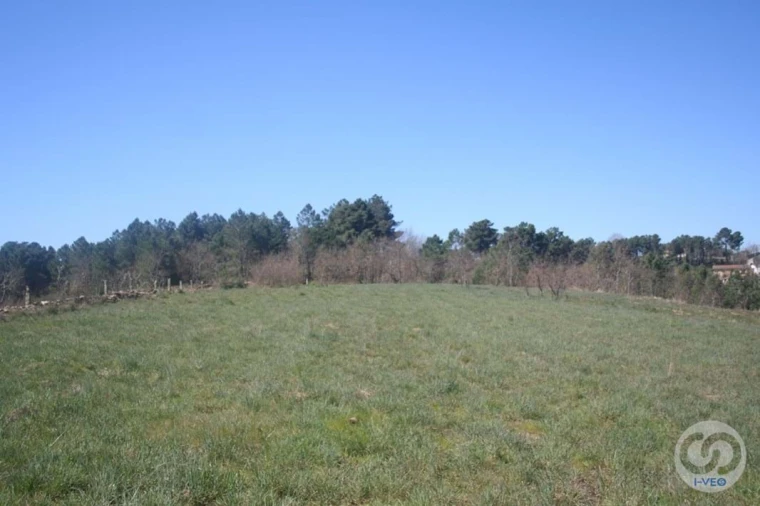 Terreno para Venda em Vale de Anta Foto 22