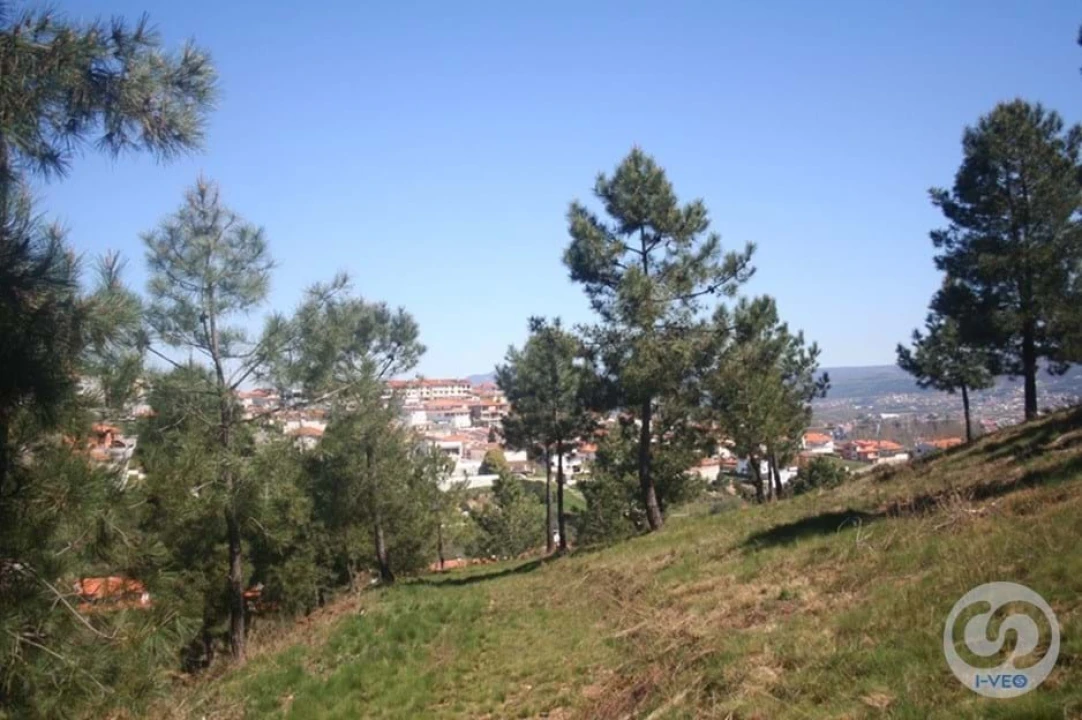Terreno para Venda em Vale de Anta Foto 10