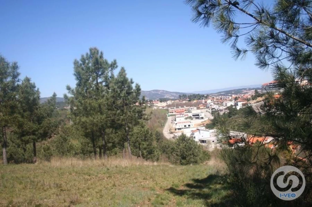 Terreno para Venda em Vale de Anta Foto 18