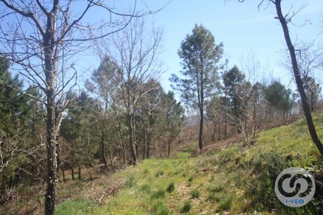 Terreno para Venda em Vale de Anta Foto 41