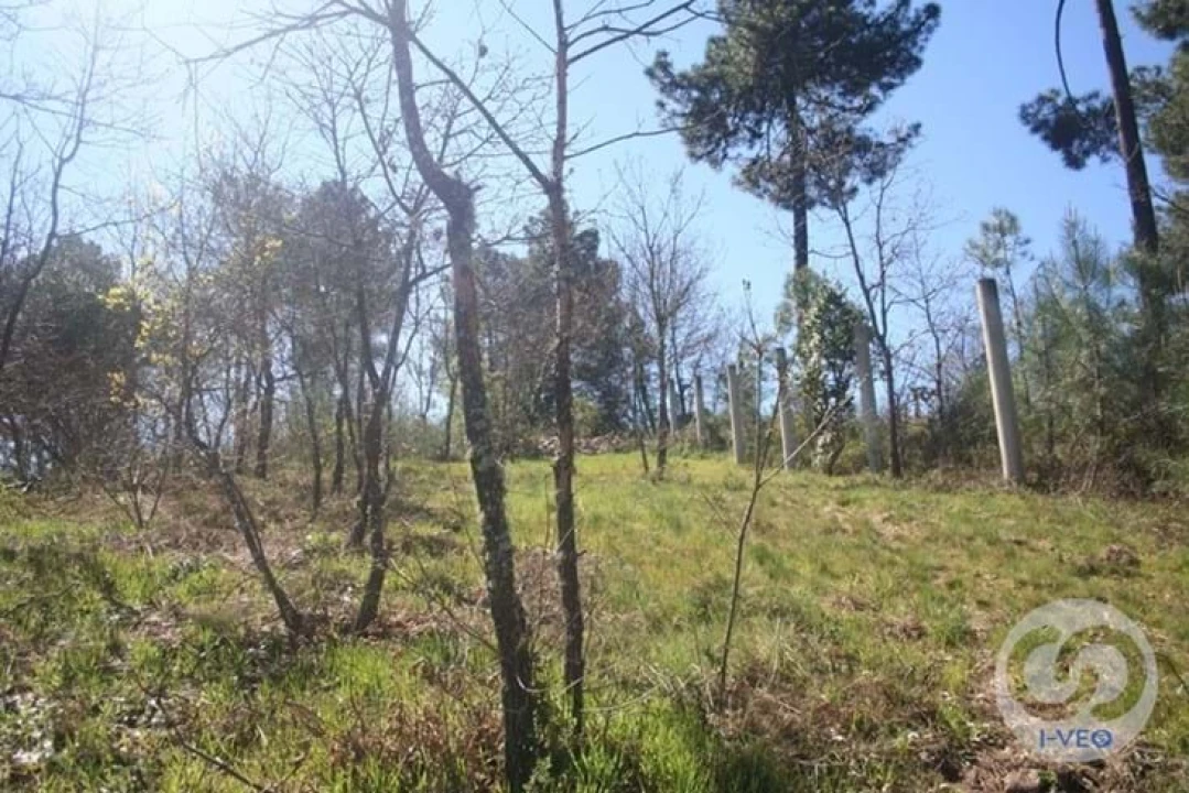Terreno para Venda em Vale de Anta Foto 40