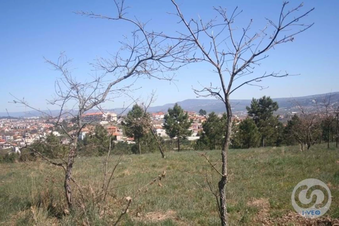 Terreno para Venda em Vale de Anta Foto 32