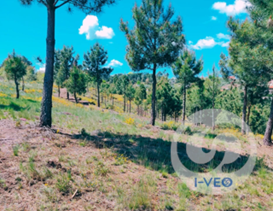 Terreno para Venda em Vale de Anta Foto 1