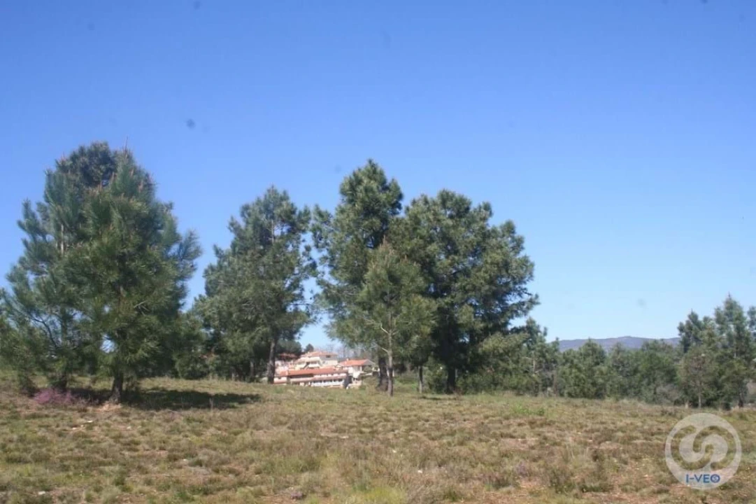 Terreno para Venda em Vale de Anta Foto 19
