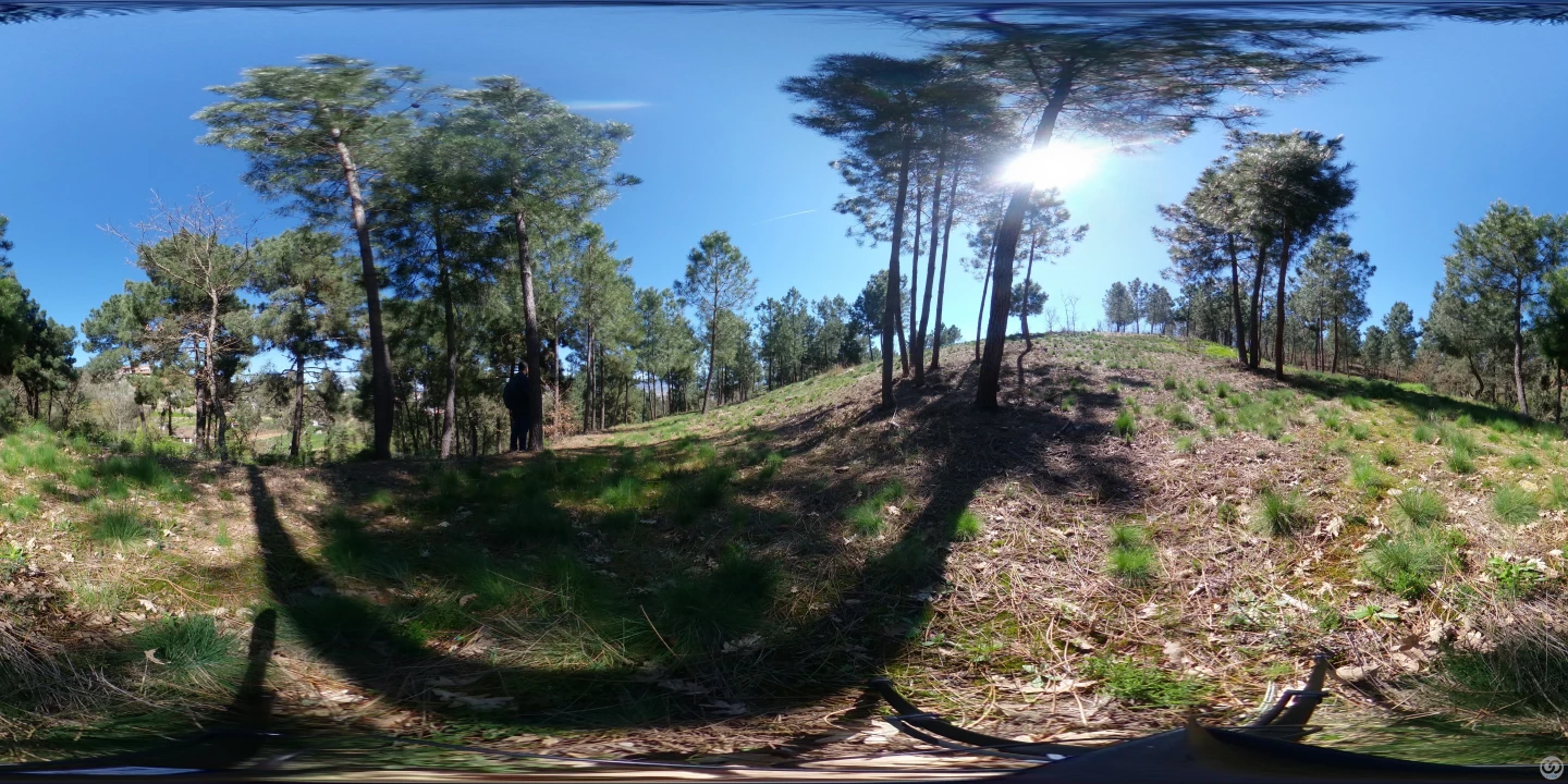 Terreno para Venda em Vale de Anta Foto 87